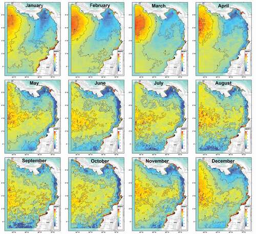 Figure 3. Climatology of the first standardized empirical orthogonal function (SEOF1), generated from the remote-sensing reflectance Rrs412 y Rrs488 of the MODIS-Aqua sensor (2002–2019).