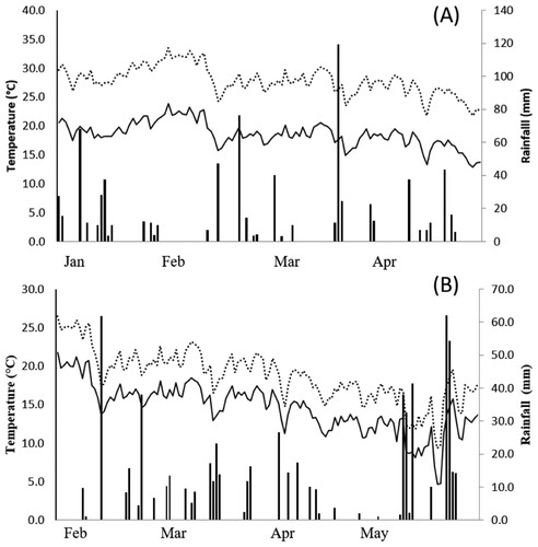 Figure 1. Climatic daily data of rainfall (solid bat) and maximum (dotted line) and minimum (solid line) temperature during the experimental time in Floresta (A) and Guaragi (B).