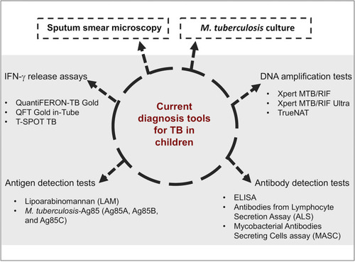Figure 2 Current tools to diagnose TB in children. The traditionally denominated golden standards microbiological culture and sputum smear microscopy set the diagnosis in adults, but children are challenging to prove positive for either of them. Currently, diagnosis in children should include one or more of the more sophisticated techniques.