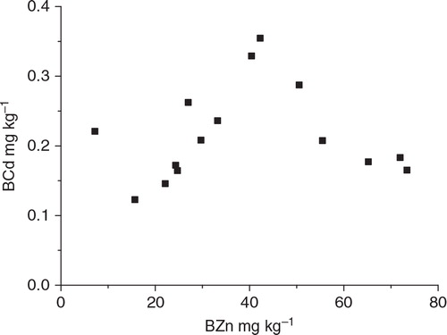 Fig. 6 Relation between biogenic Zn (BCd) and Cd (BZn) in the surface sediments.