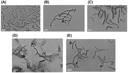 Fig. 6. TEM image of MWCNTs dispersed with (A) Triton X-100, (B) Tween-20, (C) Tetronic 1307, (D) PVP, and (E) Rhodasurf On-870.