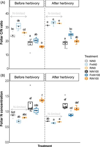 Figure 5. Foliar C/N and N concentration before and after herbivory by S. exigua. (A) Carbon to nitrogen and (B) N concentration before or after herbivory by S. exigua, in non-inoculated control plants (Ni), plants inoculated with Funneliformis mosseae (Fm), or plants inoculated with Rhizophagus irregularis (Ri) and supplied with regular nitrogen (N100) or deprived of nitrogen (N0). Boxes represent the interquartile range, inner lines in bold represent the median, black ‘+’ represents the mean, whiskers represent maxima and minima within 1.5 times the interquartile range and empty dots represent outliers. Treatments not sharing a letter are statistically different based on multifactorial ANOVA followed by Tukey’s (HSD) post hoc (p < 0.05, n = 4).