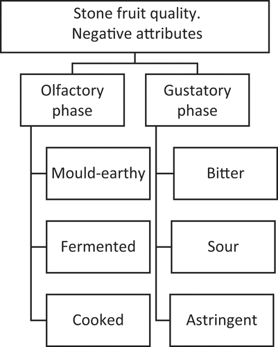 Figure 3. Hierarchy of negative attributes.