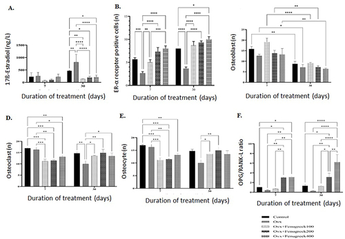 Figure 1 Effect of FSEE on blood estrogen (A), ER-α expression (B), osteoblasts (C), osteoclasts (D), osteocytes (E), and ratio of OPG/RANKL (F). Data are shown as mean ± SEM. *p<0.05, **p<0.001, ***p<0.0002, ****p<0.0001.