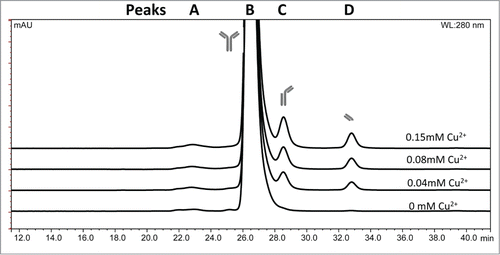 Figure 2. SEC chromatographic profile of IgG1 mAb 1 fragments in sodium acetate pH 5.3 in various copper concentrations after 1 wk at 40°C as detected by absorbance at 280 nm. (A) High molecular weight species, (B) monomer, (C) fragment missing Fab arm (Fc + Fab), (D) Fab arm.
