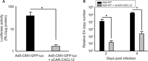 Figure 6 Ablation of native liver tropism of Ad using a bispecific adapter (sCAR-CXCL12).