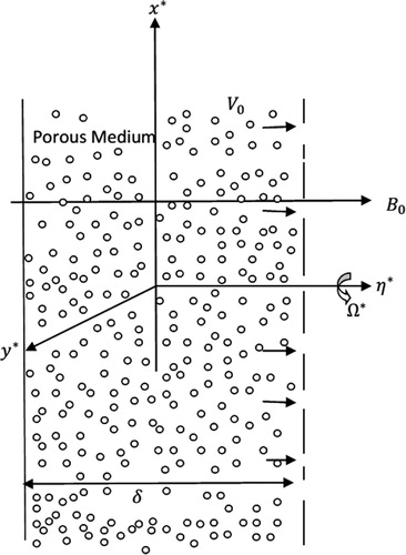 Figure 1. Physical configuration of the flow.