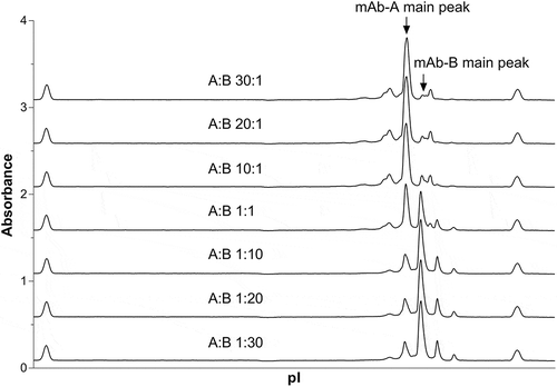 Figure 1. cIEF electropherograms of COMBO with various mAb-A: mAb-B ratios.