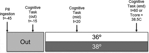 Figure 1. Timeline of the protocol, participants take the pill 45 min before start entering bath; thereafter, participants are prepared and practice the cognitive tests. At T = −15 the experiment starts outside the bath and continues at T = 0 inside the bath. Twenty minutes after entering the bath (T = 20) the second bout of the cognitive tests takes place. Then, either after 60 min in the bath, or when gastrointestinal temperature (Tcore) reaches 38.5°C participants start with the final bout of the cognitive tests. Thereafter, the experiment is finished and participants carefully leave the bath