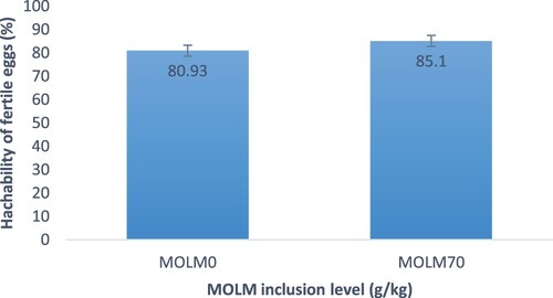 Figure 7. Effect of MOLM inclusion level on hatching of fertile eggs of Potchefstroom Koekoek hens.