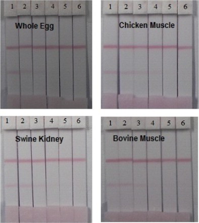 Figure 6. Test strip detection of different AP concentrations in different spiked food samples. 1  = 0 µg/kg, 2 = 0.5 µg/kg, 3 = 1.0 µg/kg, 4 = 2.5 µg/kg, 5 = 5 µg/kg, and 6 = 10 µg/kg.