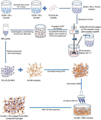 Figure 2. Schematic showing the fabrication of 5Fu-loaded PLGA MPs.Notes: The MPs were prepared by via s/o/w emulsion technique by varying PLGA end groups, PLGA concentration, and drug loading to achieve better EE. 5Fu-encapsulated MPs were infused in photocross-linked HA hydrogel.