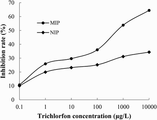Figure 5. The QD-BI-CE standard curves of trichlorfon using the MIP and NIP as the antibody at concentrations of 0.1–10,000 μg/L in a DDW solution.