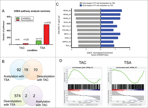 Figure 4. HDAC inhibition with TSA prevents histone acetylation of NFκB target genes. Two comparisons were investigated TAC (TAC veh vs. sham veh) and TSA (differences between TAC TSA and TAC veh). (A) Bar plot of number of GSEA pathways identified with histone acetylation and deacetylation changes for each condition. (B) Venn diagram showing the overlap for GSEA pathways between TAC and TSA. All gene sets are FDR q val < 0.05 according to standard GSEA output. (C) GSEA was used to identify H3K9/K14ac at promoters associated with transcription factor binding using the ENCODE ChIP-seq collection of transcription and co-regulatory factors and chromatin-associated proteins (TFBS). Bar plot of the top 10 TFBS gene sets by deacetylation with TSA and its corresponding association in response to TAC. Numbers following the protein name represent the cell line and have been defined in the methods. Gene sets for TSA are FDR q val < 0.05 according to standard GSEA output. A negative normalized enrichment score (NES) shows deacetylated gene sets, while a positive NES score indicates gene sets associated with histone acetylation. (D) GSEA plot showing an association of NFκB bound genes associated with histone acetylation in response to TAC and corresponding deacetylation with HDAC inhibitor TSA. Genes are ranked by changes in H3K9/K14ac.