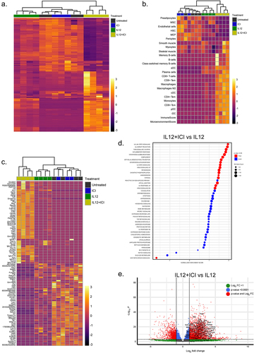 Figure 4. Treatment with IL12 and dual-ICI associates with distinct patterns of gene expression in solid lesions from peritoneum of mice bearing ID8-VEGF tumors. Bulk RNA sequencing of ID8-VEGF solid tumor lesions. For heat maps, each column represents individual mice and the treatment group is indicated by color code at top. (a) heat map with hierarchical clustering based top 500 variable genes. (b) cell type enrichment analysis based on gene expression data using xCell. (c) heat map with hierarchical clustering of top 50 differentially expressed genes in tumors from untreated versus IL12+dual-ICI. (d) hallmarks of cancer gene set enrichment analysis. Gene sets with statistically significant changes in expression comparing IL12+dual-ICI vs IL12 alone are indicated with red colors and the size of the dot is representative of the number of genes in the corresponding gene set that are significantly changed. (e) volcano plot of differentially expressed genes in ID8-VEGF tumors from mice treated with IL12 alone versus IL12+dual-ICI. Fold change and significance cutoffs are as indicated and named genes are members of the hallmarks of cancer Interferon Gamma Response gene set that were significantly upregulated by at least three-fold.