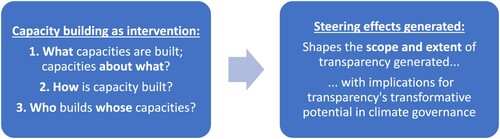 Figure 2. Conceptualizing capacity building as intervention: generating steering effects.