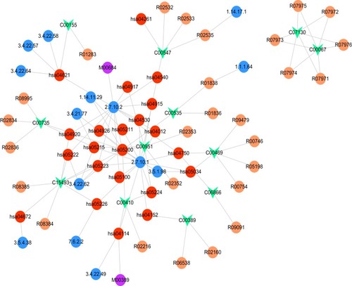 Figure 4 Constructed gene-metabolite network. The red, purple, blue, and orange circles and the green inverted triangle represent the pathway, module, enzyme, reaction, and disease metabolite, respectively.