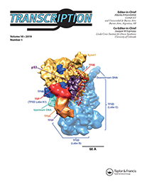 Cover image for Transcription, Volume 10, Issue 1, 2019