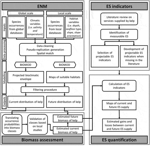 Figure 1. Methodological framework and processing steps. Four main steps were performed: inventorying ecosystem services (ES) indicators (see section 2.2), running Ecological Niche Models (ENM) (see section 2.3); estimating biomass, and quantifying ES (see section 2.4). Rounded rectangles correspond to actions performed like preparing data or running models (only BIOMOD model is depicted by a hexagon). Pointed rectangles symbolize data and maps (used or produced).