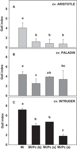 Fig. 2 Effects of Phytophthora capsici and Meloidogyne incognita co-inoculation as compared with M. incognita alone on gall index in three bell pepper cultivars: (a) ‘Aristotle’, (b) ‘Paladin’ and (c) ‘Intruder’. Mean values are combined results from two trials (trial × treatment, P = 0.53; N = 20). Pc = P. capsici and Mi = M. incognita. Mi/Pc (b), Mi/Pc (s) and Mi/Pc (a) indicate M. incognita was inoculated before, at the same time as, and after P. capsici, respectively. Treatments within each cultivar with different letters are significantly different according to Fisher’s protected least significant difference test (P ≤ 0.05). Error bars are standard errors of the means of two experiments.