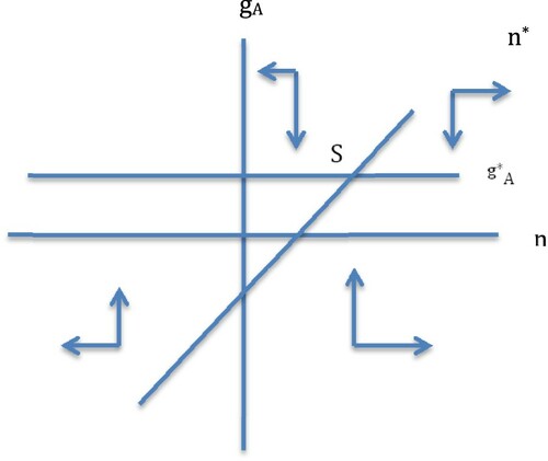 Figure 4 Steady state equilibrium, decreasing returns case