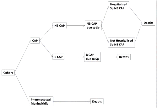 Figure 2. Decisional tree in the population model (NB CAP: non-bacteraemic CAP; B CAP: bacteraemic CAP).