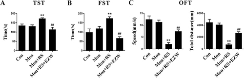 Figure 2 Erzhiwan decreased stress reaction in experimental depigmentation mice. The immobile time of TST (A) and FST (B) of the mice was detected. (C) OFT analysis of the mice was performed (n=8). Data are expressed as mean ± SD, and compared with Mon group at **p < 0.01, and compared with Mon+RS group at ##p < 0.01.
