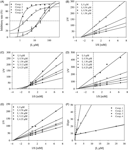 Figure 2. (A) Inhibitory activity of compounds 1–4 on tyrosinase. (B–E) Linewever-Burk plots of tyrosinase inhibition by compounds 1–4, respectively. (F) Secondary re-plot of slope vs. [I].