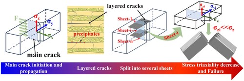 Figure 4. Schematic diagram of HLM toughening mechanism.