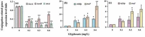 Figure 4. The effects of glyphosate on expression levels of global regulatory genes (a), mating pair formation genes (b) and DNA-transfer-and-replication genes (c)