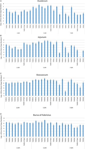 Figure 3. Means of log10 of virus gene copy number in (A) duodenum, (B) jejunum, (C) ileocaecum and (D) bursa of Fabricius at 3, 5, and 7 days post-inoculation.