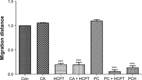 Figure S1 Quantitative data of cancer cells’ migration of Figure 4F.Notes: ***P<0.001.Abbreviations: CA, cinnamaldehyde; Con, control; HCPT, 10-hydroxy camptothecin; PCH, HCPT-CA-loaded nanoparticles.