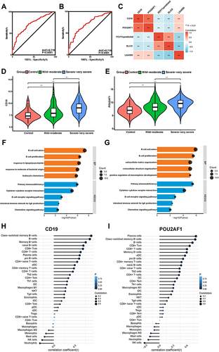 Figure 5 Performance of CD19 and POU2AF1 in validation sets (GSE47460). (A) ROC curve of CD19 for COPD. (B) ROC curve of POU2AF1 for COPD. (C) The correlation analysis between CD19 and POU2AF1 with lung function and CT indexes of emphysema. Blue represented a negative correlation; red represented a positive correlation. (D) The expression of CD19 in different disease severity of COPD. (E) The expression of POU2AF1 in different disease severity of COPD. (F) GO-BP and KEGG pathway enrichment analysis of DEGs in high- and low- CD19 expression groups. (G) GO-BP and KEGG pathway enrichment analysis of DEGs in high- and low- POU2AF1 expression groups. The x-axis depicts the –log10 (P-value). The y-axis lists the enriched functional terms. (H) Correlation between CD19 and immune cells in COPD. (I) Correlation between POU2AF1 and immune cells in COPD. The size of the dots represented the strength of the correlation between genes and immune cells; the larger the dots, the stronger the correlation, and the smaller the dots, the weaker the correlation. The color of the dots represented the P-value, the blacker the color, the lower the P-value, and the bluer the color, the larger the P-value. ***P<0.001, **P<0.01.