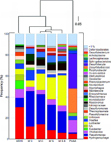 Fig. 4. Composition of v4v6 pyrotag sequencing libraries for samples of ONKALO groundwater and FCCS biofilms. Sequences with ≥1% frequency-abundance are shown. Bar designations: KR15 = ONK-KR15 groundwater sampled on 17 April 2012; bf 0 = biofilm on day 0; bf C = control biofilm on day 103; bf S = sulphate biofilm on day 103; bf S 6 = sulphate + ONK-PVA6 biofilm on day 103; PVA6 = ONK-PVA6 groundwater sampled on 17 April 2012. NA: not annotated. The tree above the bar graph depicts a Morisita–Horn distance measure, constructed using an unweighted pair group method with arithmetic mean (UPGMA) with taxonomic depth at the species level. The scale bar represents 5% nucleotide substitutions.