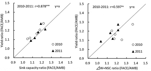 Figure 1. Effects of sink capacity and source accumulation on the change of yield under FACE condition.Notes: Sink capacity (g m−2) = No. of spikelet (m−2) × 1000 grain weight (g)/1000. ΔW: Increase of aboveground dry weight at grain-filling period. NSC: non-structural carbohydrates at full-heading stage.