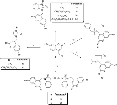 Scheme 1. Synthesized Salts. Reagents and Conditions; (i) 2a–d, DMF, 90°C, 48 h (Karatas et al. Citation2013). (ii) 2e–f, DMF, 90°C, 72 h. (iii) 2g–h, DMF, 90°C, 24 h. (iv) 2j, DMF, 60°C, 24 h. (v) 2j, CH3CN, reflux, 72 h.