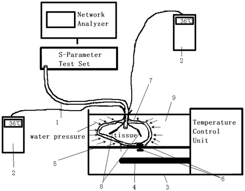 Figure 3. Diagram of the measurement system. 1, coaxial line; 2, digital micro-thermometer (used to measure tissue temperature); 3, water bath incubator (used to control water temperature); 4, heater (used to heat water); 5, salver (used to place the tissues); 6, magnet (used to fix the tissues); 7, preservative film (used to pack the tissues); 8, thermometer probe; 9, water.