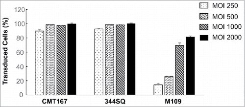 Figure 1. Sensitivity of mouse lung cancer cell lines to adenoviral vector. Mouse lung cancer cells were treated with Ad/CMV-GFP at the indicated MOIs. Percentages of GFP-positive cells were determined at 48 h after the treatment. The data represent mean + SD of a triplicate assay.