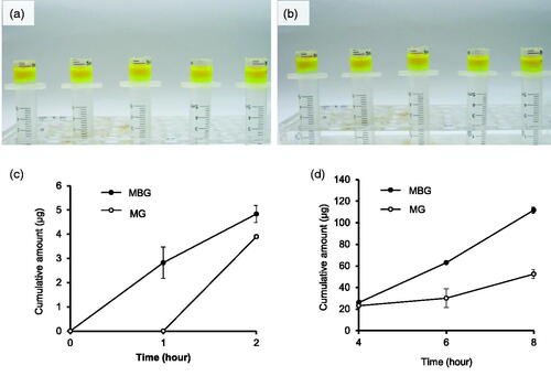 Figure 6. Diffusion of MBG (a) and its physical mixture gel (MG) (b). Diffusion of apigenin in MBG (c) and MG (d) (n = 3).