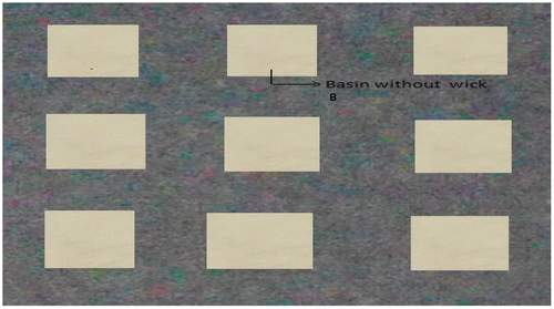 Figure 4. Basin partially covered by wick.