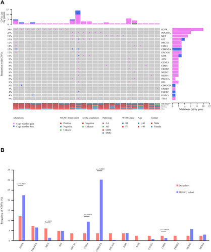 Figure 4 Copy number variation (CNV) analysis. (A) Distribution shift of CNVs in 26 of 83 glioma samples (31.33%). Copy number losses (blue) and gains (pink) were determined from sequencing data. CNVs (n) is the number of mutations per gene. (B) Comparison of mutation frequencies of CNVs among the top 15 genes from the Chinese and MSKCC cohorts. The commonly CNV genes are arranged in order on the horizontal axis. The vertical axis represents the CNV frequency obtained from a different cohort.