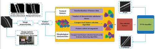 Figure 1. The flow chart of the research method of this paper.