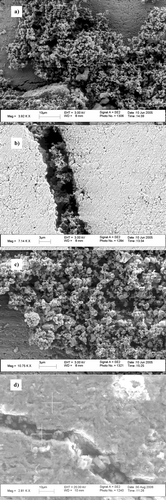 FIG. 10 SEM-image of catalyst surface exposed to laboratory generated particles of (a) KCl, (b) K2SO4, (c) ZnCl2, and (d) commercial biomass combustion, SEM/EDS analysis is marked with +.