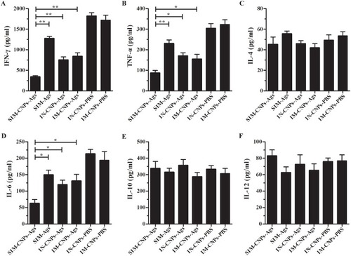 Figure 6 Cytokine levels in the lungs of immunized mice after the C. psittaci challenge.Notes: (A) IFN-γ, (B) TNF-α, (C) IL-4, (D) IL-6, (E) IL-10 and (F) IL-12 levels were detected in the lung homogenates of immunized mice by ELISA kits after the C. psittaci infection. Each bar represents the mean ± SD of the cytokine levels (pg/mL) in the lung homogenates from 6 mice per group in three independent experiments. *P < 0.05; **P < 0.01.Abbreviations: IFN-γ, interferon gamma; IL, interleukin; TNF-α, tumor necrosis factor alpha; ELISA, enzyme-linked immunosorbent assay; SD, standard deviation.