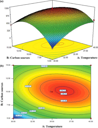 Figure 2. Response surface (a) and contour (b) plots showing the interactive effect of A: temperature and B: carbon source on the activity of β-glucosidase.