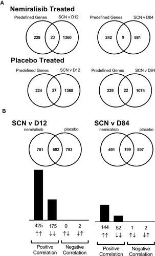 Figure 2 mRNA transcriptomic alterations in induced sputum from AECOPD patients (Study B). Transcriptomic changes in induced sputum taken from acutely exacerbating COPD patients. Of the predefined neutrophil-related genes a small number were altered in both the nemiralisib and placebo-treated groups (Panel A). The entire unbiased gene array output also showed a similar number of genes changing in the nemiralisib and placebo-treated groups when comparing both day 12 or day 84 to the screening time point (Panel A, SCN v D12). There was a significant overlap in the genes changing between screening and day 12 in the nemiralisib and placebo-treated groups at day 12 and day 84, with almost all genes changing in the same direction (Panel B).