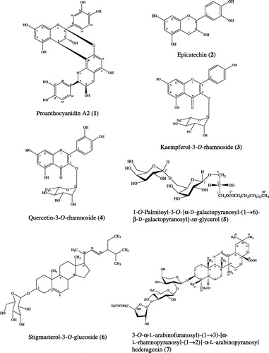 Figure 1. Chemical structures of compounds isolated from P. pinnata leaves.