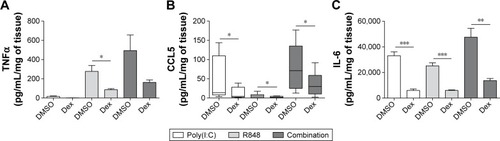 Figure 6 Effect of dexamethasone on pro-inflammatory cytokine release from TLR-stimulated lung tissue.