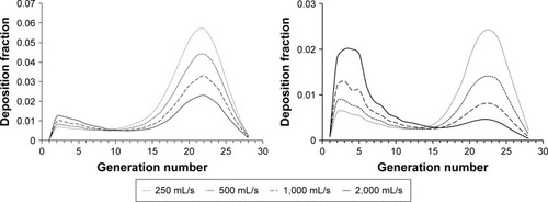 Figure 4 Deposition fraction at different generations of the respiratory tract for 0.05 µm particles (left) and 1 µm particles (right) as calculated with the Multiple Path Particle Dosimetry model for a healthy adult during oral breathing without breath-hold.Abbreviation: s, second.