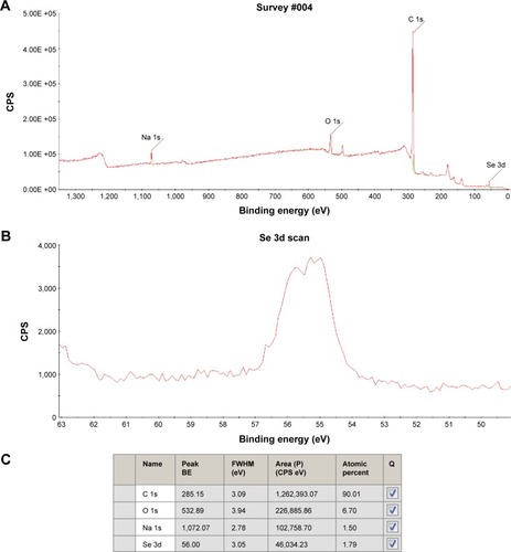 Figure 4 XPS analysis of rSeNPs.Notes: (A) Overall XPS results of rSeNPs. (B) XPS selenium 3d bond spike present in the rSeNP sample. (C) XPS quantitative data for rSeNPs. Na 1s represents the 1s orbital of sodium, O 1s is the 1s orbital of oxygen, C 1s is the 1s orbital of carbon, and Se 3d is the 3d orbital of selenium.Abbreviations: XPS, X-ray photoelectron spectrometry; rSeNPs, red-allotrope selenium nanoparticles; CPS, counts per second; BE, binding energy; FWHM, full width at half maximum.